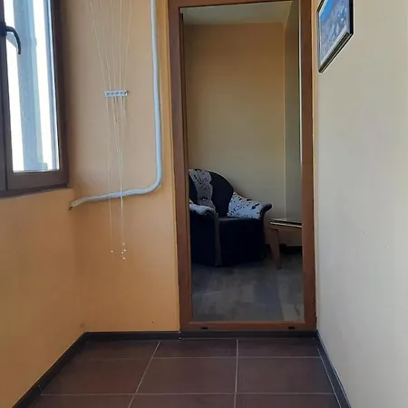 Icovi 2